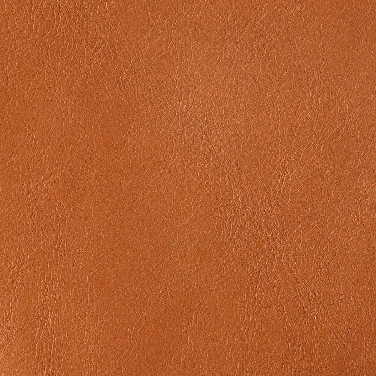 Cognac Soft, nærbillede